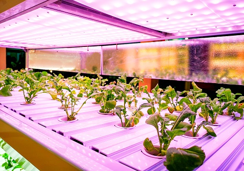 LED植物照明：短期受阻，未来可期
